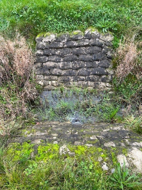 Image 13