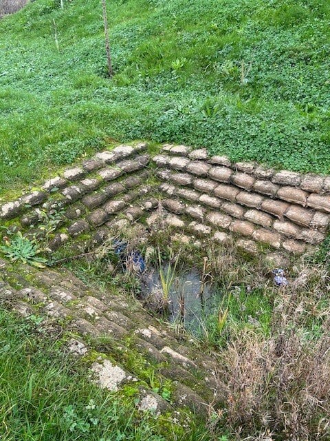 Image 15